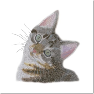 Colored Pencil Kitten Portrait Posters and Art